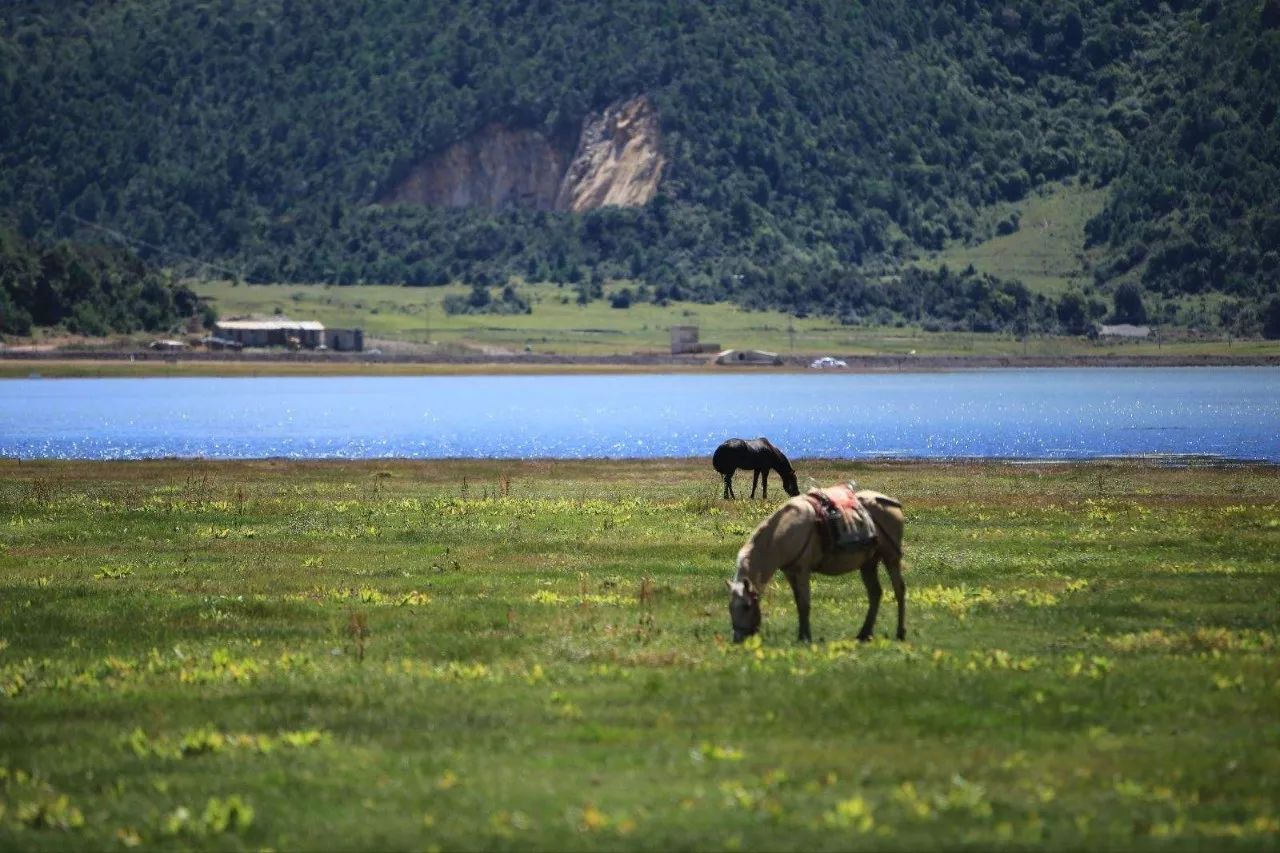 麗江束河·雲(yún)山南，相愛真的是一種奇跡