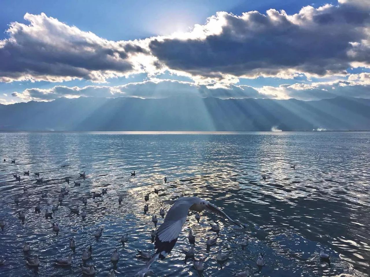 大理慢境·海景藝術(shù)客棧，海邊的微風(fēng)陽光