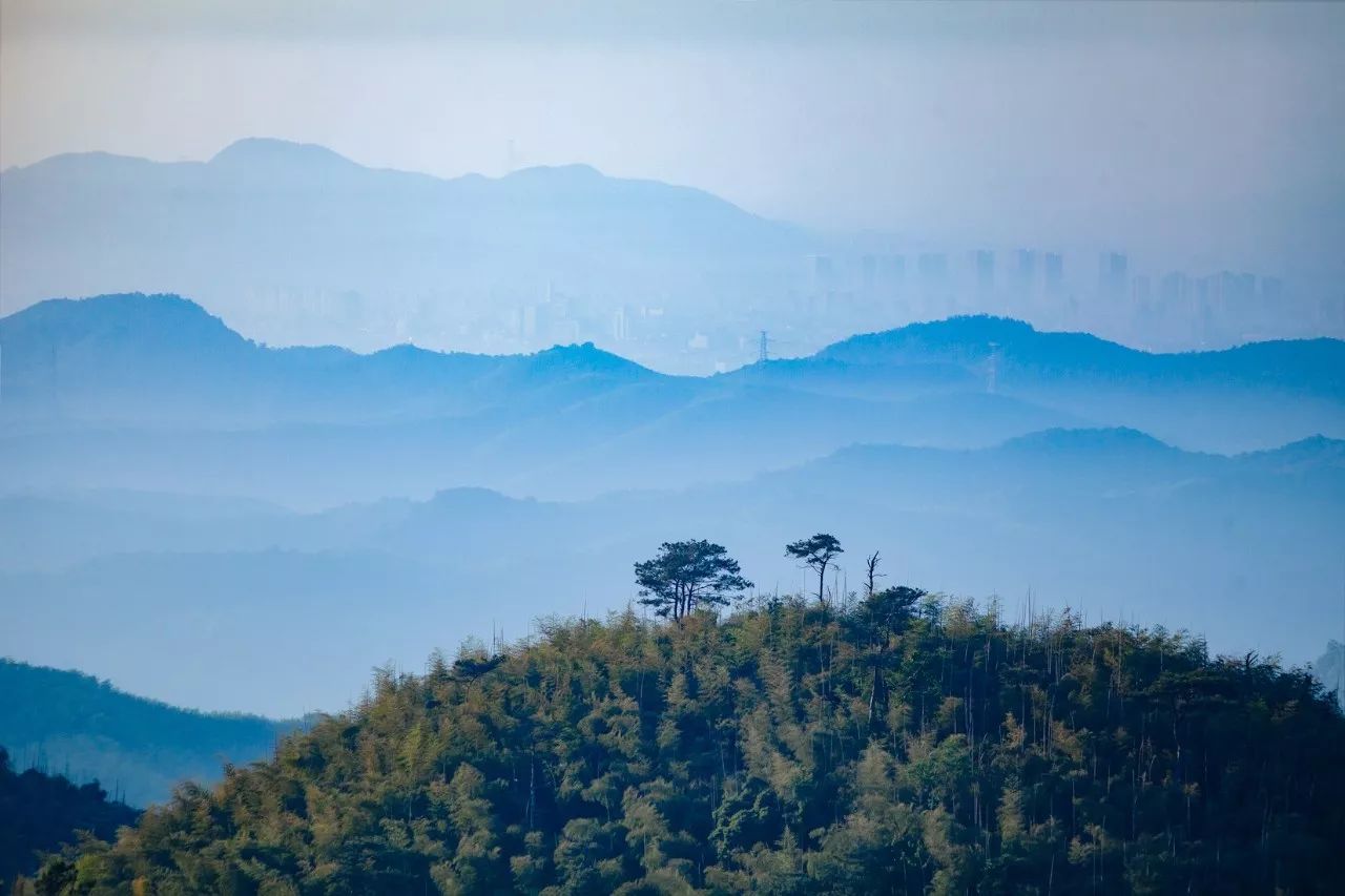 莫干山·三秋美宿，一日不見三秋盼兮