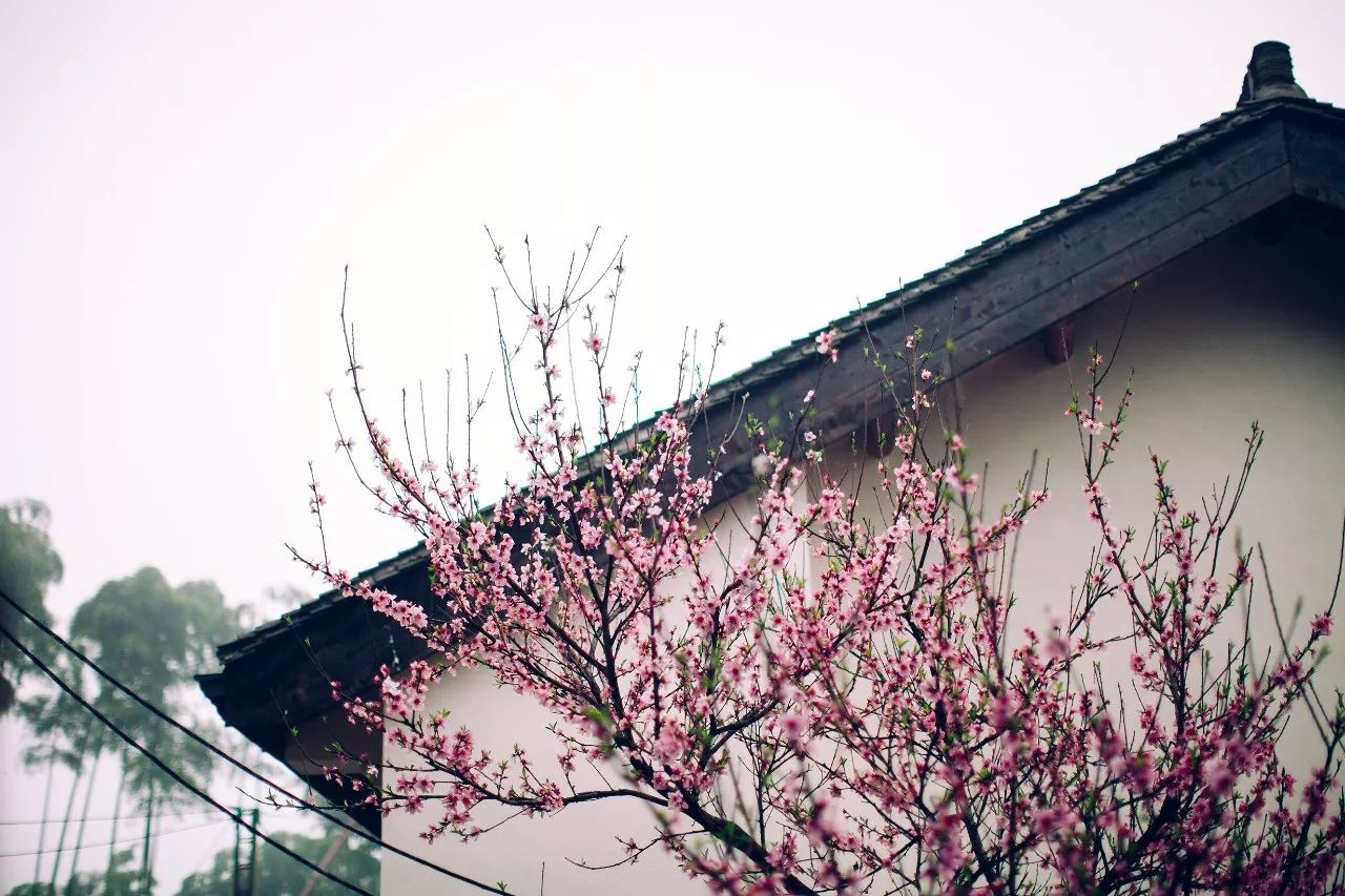 莫干山·三秋美宿，一日不見三秋盼兮