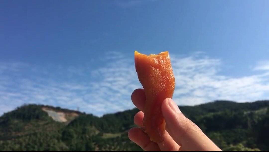 莫干山·趣舍一棵樹，置身山中與山林萬(wàn)物相連