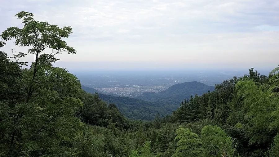 青城山·路之青城，山溝里的豬圈民宿