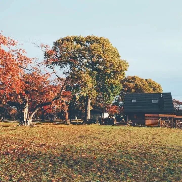 北海道的海濱小鎮(zhèn)，一家四口的日子才最幸福