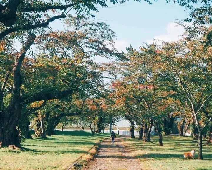 北海道的海濱小鎮(zhèn)，一家四口的日子才最幸福
