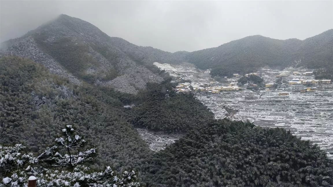麗水·云逸遠(yuǎn)山，在牡丹亭有個(gè)仲夏夜之夢(mèng)