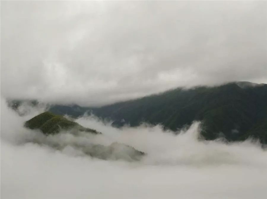 麗水·云逸遠山，在牡丹亭有個仲夏夜之夢