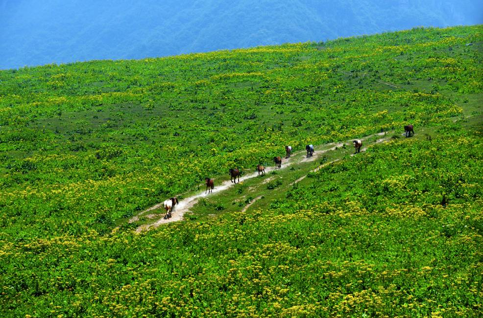 皇木鎮(zhèn)·壹間房，住進(jìn)云霧間愛上一座城