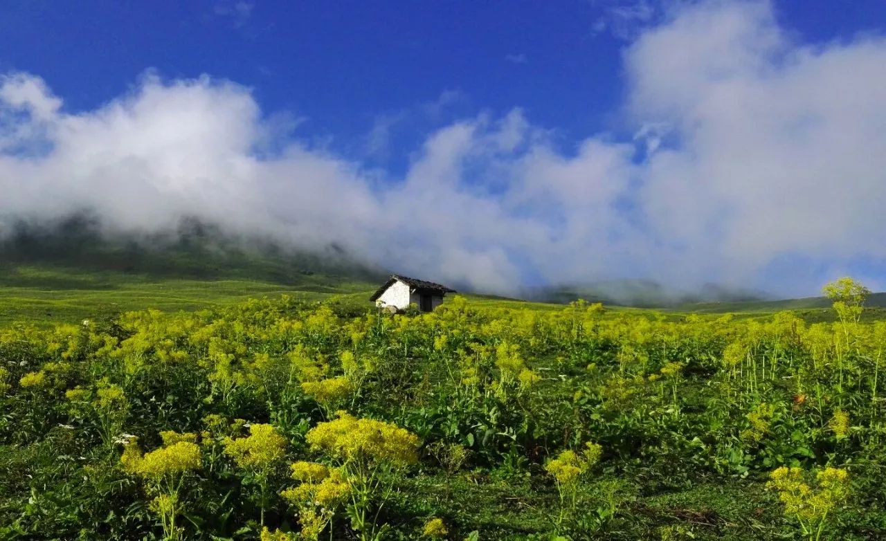 皇木鎮(zhèn)·壹間房，住進(jìn)云霧間愛(ài)上一座城