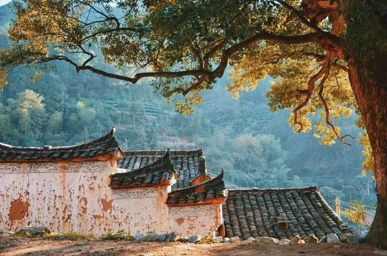 原舍·望山，享受最純粹的鄉(xiāng)村生活