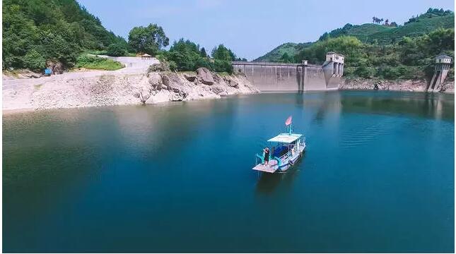 松陽·陌領浮光民宿，浮光指路茶香入夢