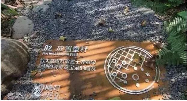 莫干山庾村1932文化市集，一村一世界