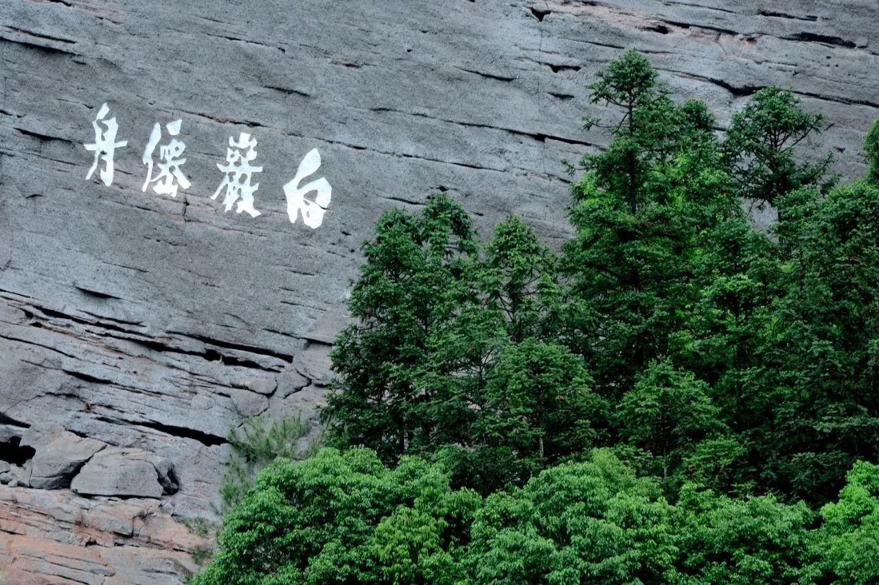 武夷山·山玖如意莊，一杯清茶一萬個品茶人