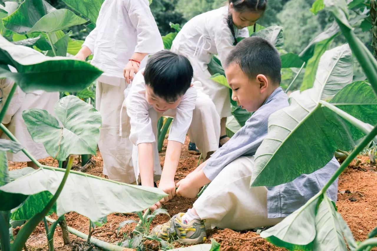 壩美·歸園，隱居聽(tīng)心歸于自然盡享鄉(xiāng)村野趣