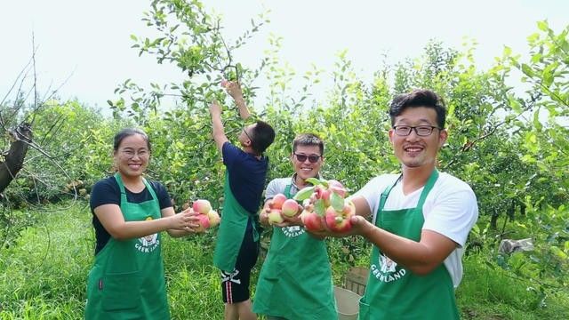 煙臺(tái)·極客客棧，歡迎每一顆想要逃離的心