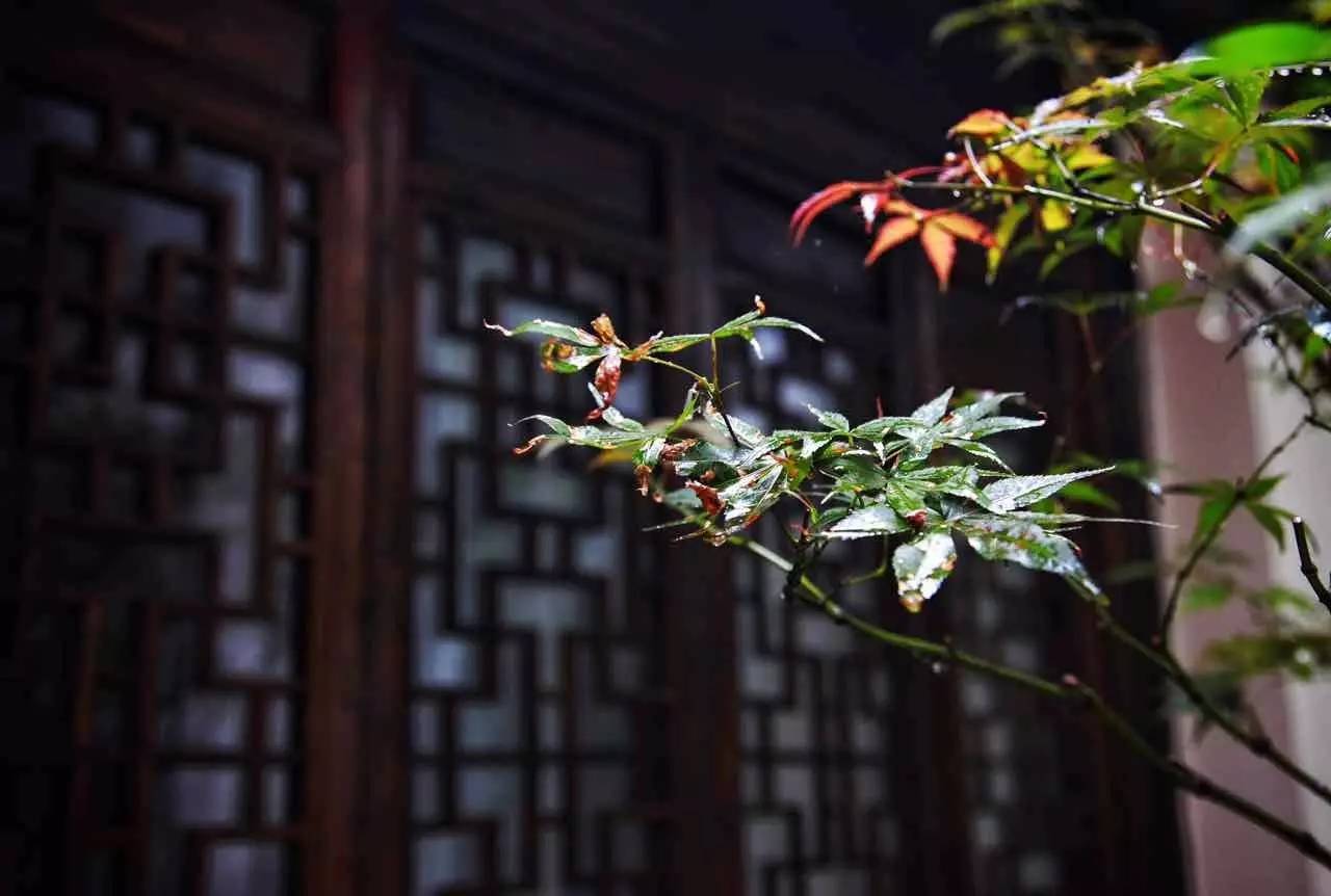塘棲古鎮(zhèn)小茶姑娘，古鎮(zhèn)溪邊沐浴清風(fēng)滌蕩心靈
