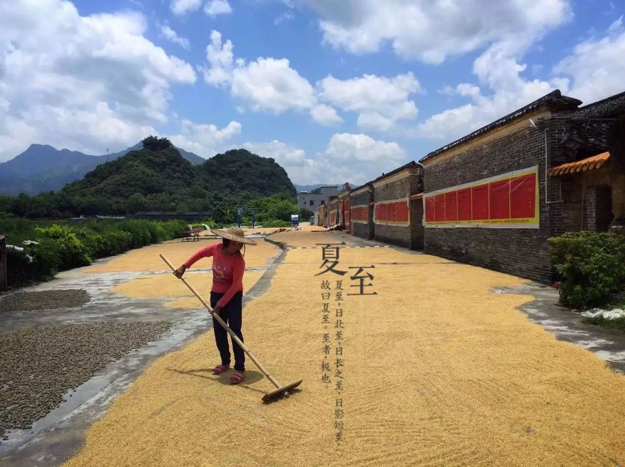 桃花壹號(hào)，靜下來品味生活最美的那一面