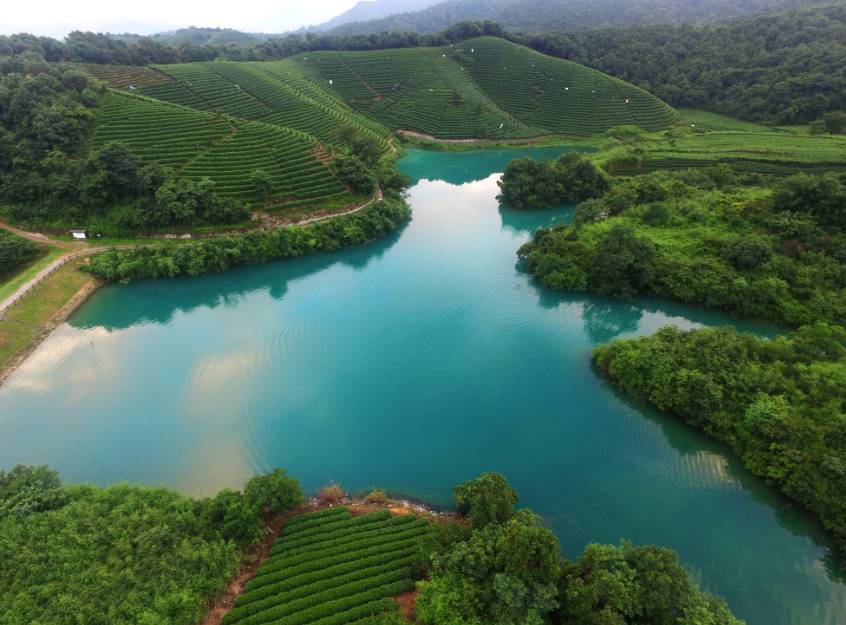 茗墅茶莊園，西湖以外的西湖