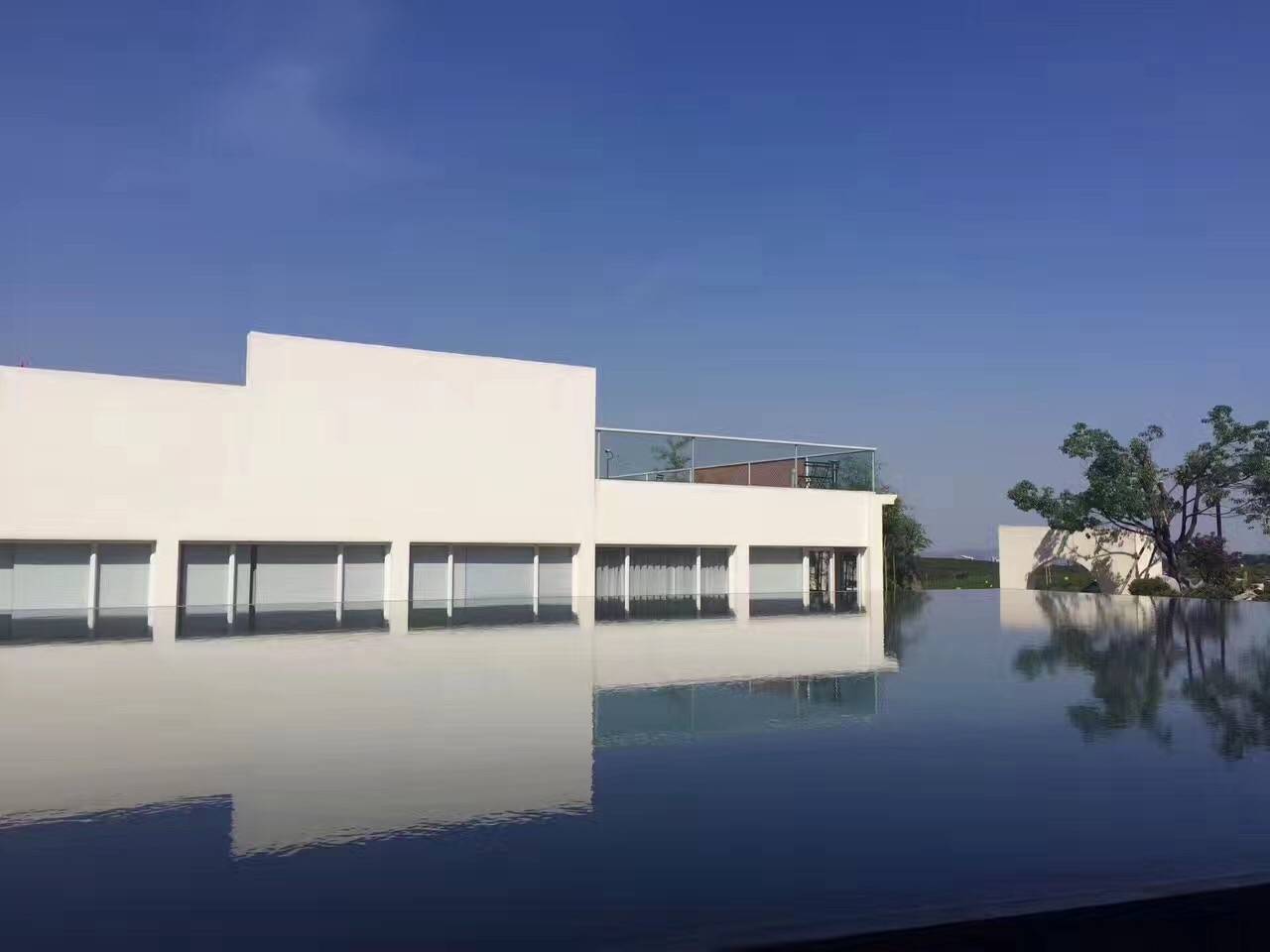 茗墅茶莊園，西湖以外的西湖