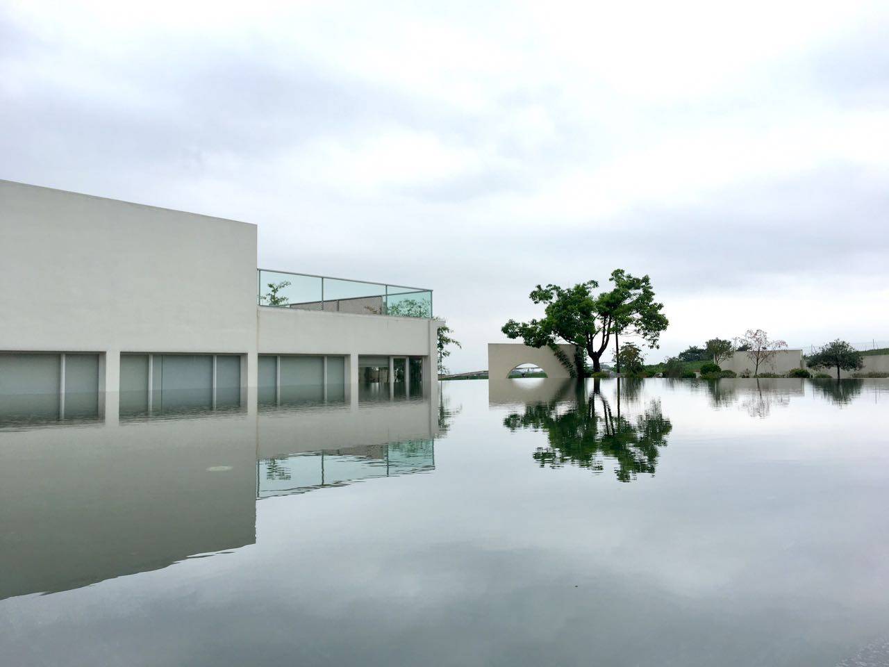 茗墅茶莊園，西湖以外的西湖