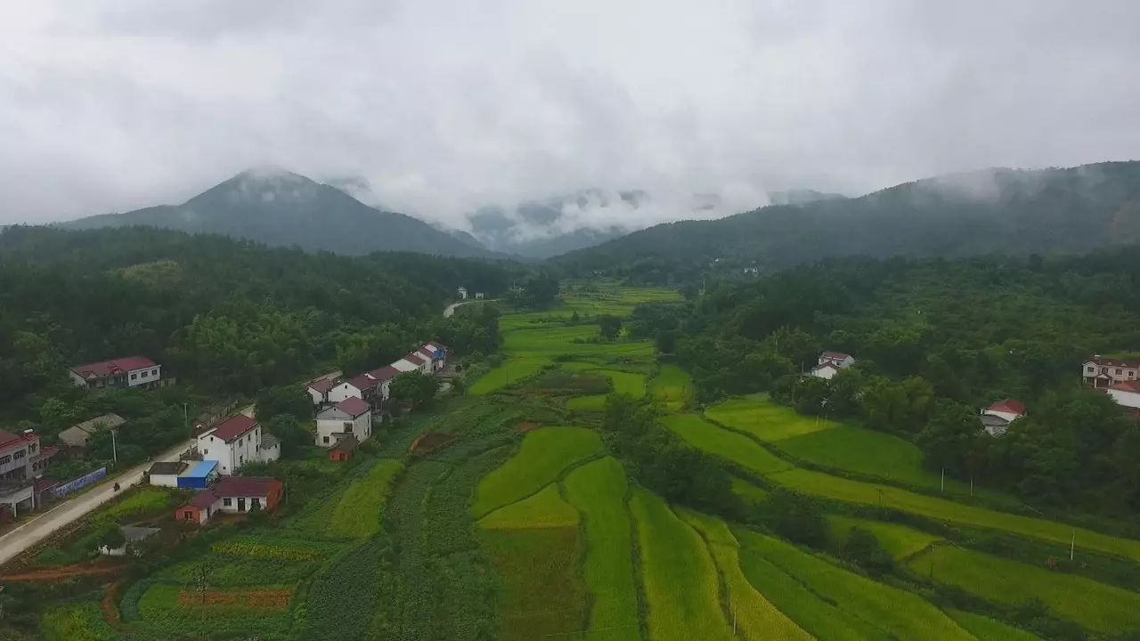 陌上·花溪堂，陌上花開笑顏傾城