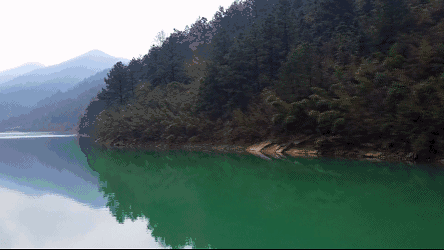 湖州嶺霧，在云霧之巔把自然搬進屋內(nèi)