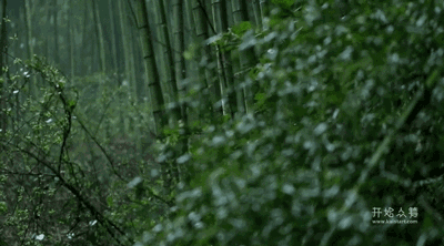湖州嶺霧，在云霧之巔把自然搬進(jìn)屋內(nèi)