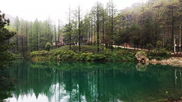 湖州嶺霧，在云霧之巔把自然搬進(jìn)屋內(nèi)