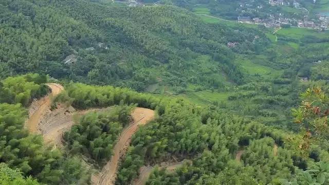 珀洱半坡，在竹海樹(shù)林之間盡享山間好風(fēng)光