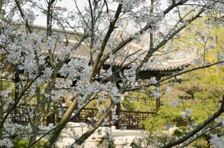 瓜洲云裳山村，春風(fēng)又綠江岸春