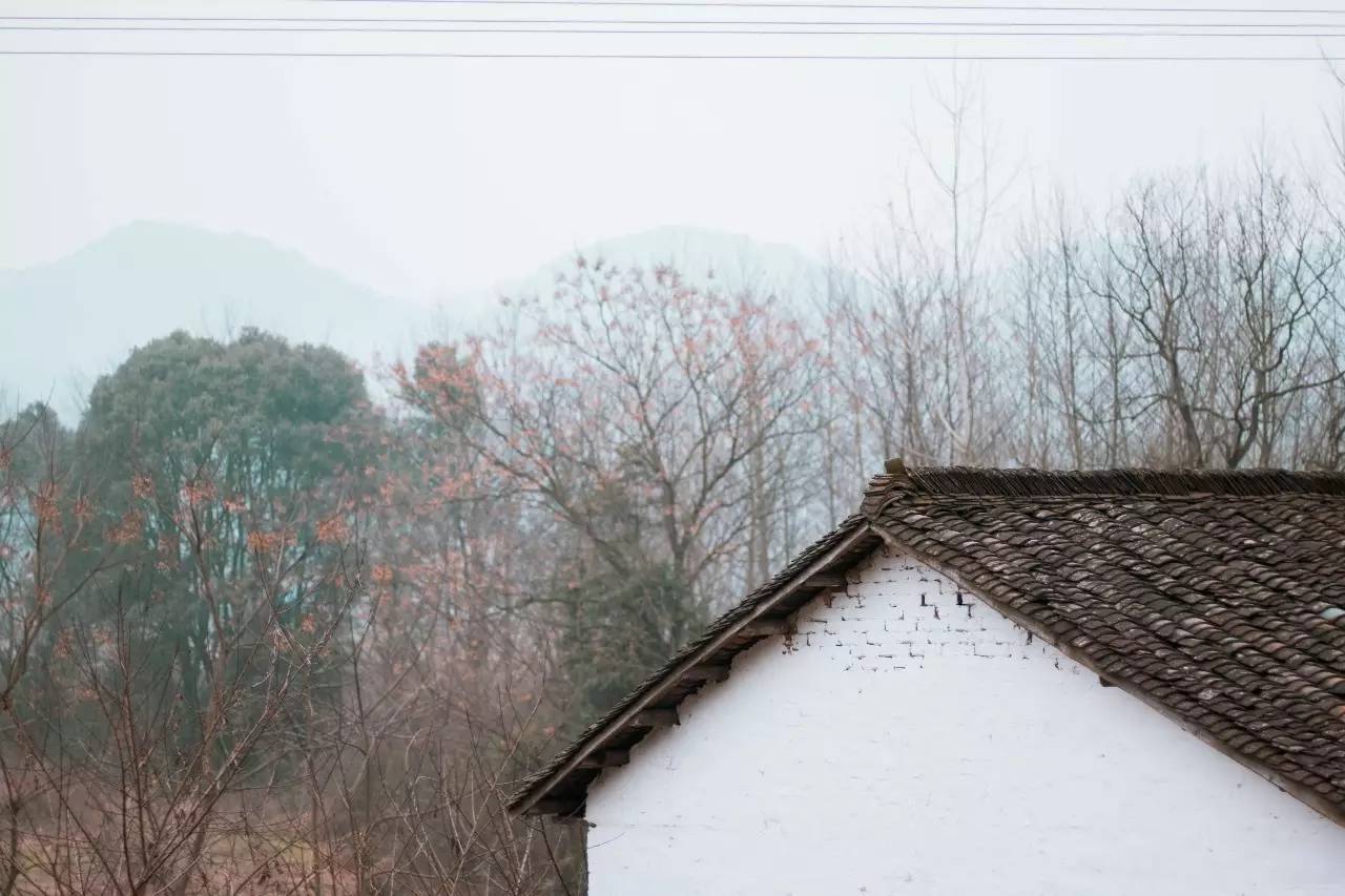 瓜洲云裳山村，春風(fēng)又綠江岸春