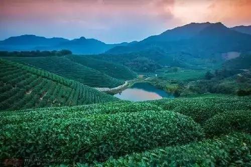 瓜洲云裳山村，春風(fēng)又綠江岸春