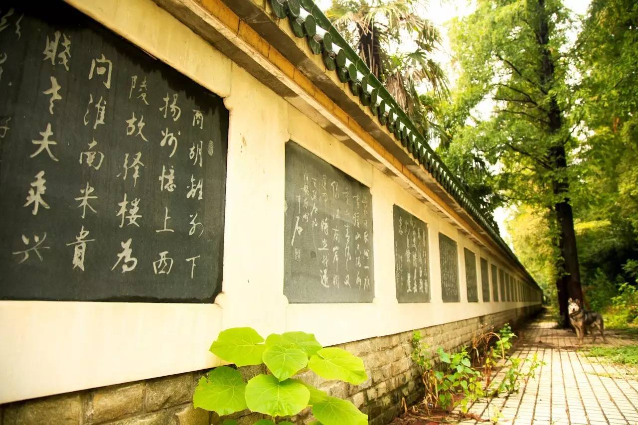 瓜洲云裳山村，春風(fēng)又綠江岸春
