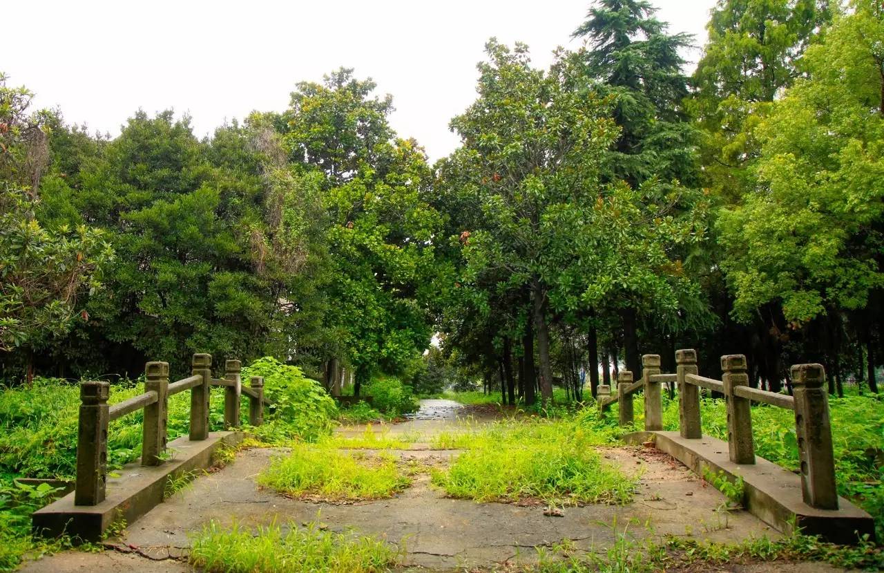 瓜洲云裳山村，春風(fēng)又綠江岸春