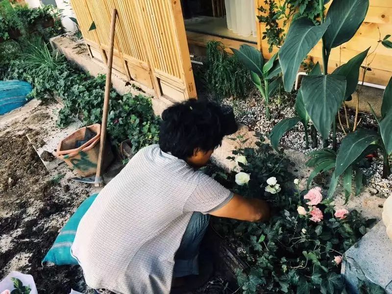束河桃花塢，在茶馬古道浮生清閑陪父母慢慢變