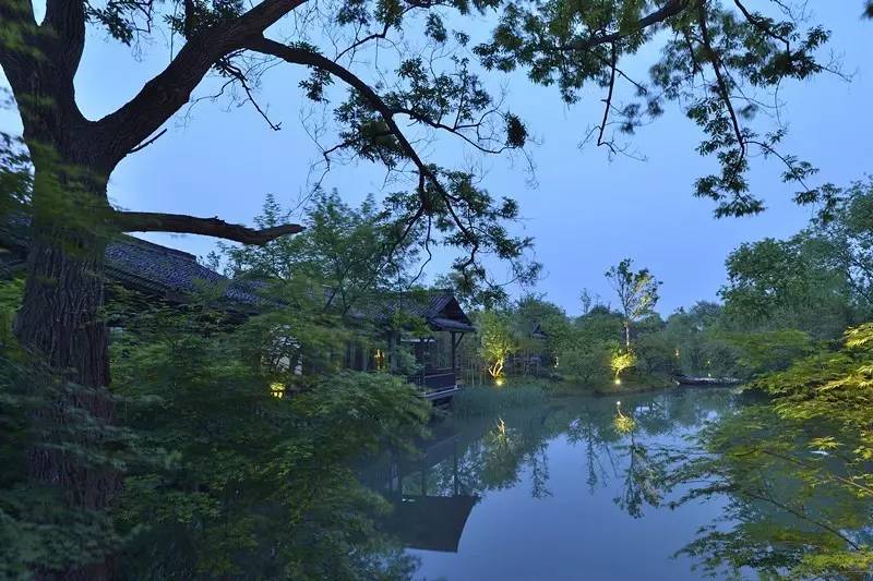 西溪濕地三款最美避世酒店，果然一派驚艷