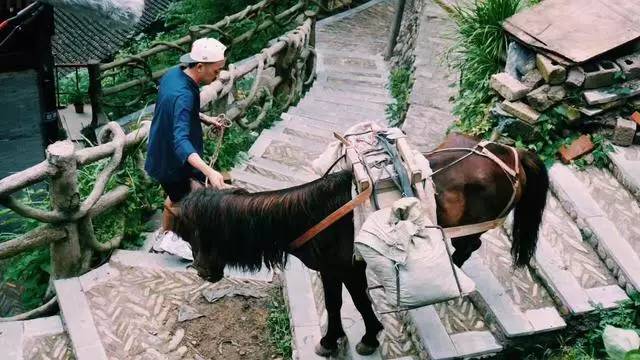 西江千戶苗寨方至客棧民宿，由幸福里團隊打造