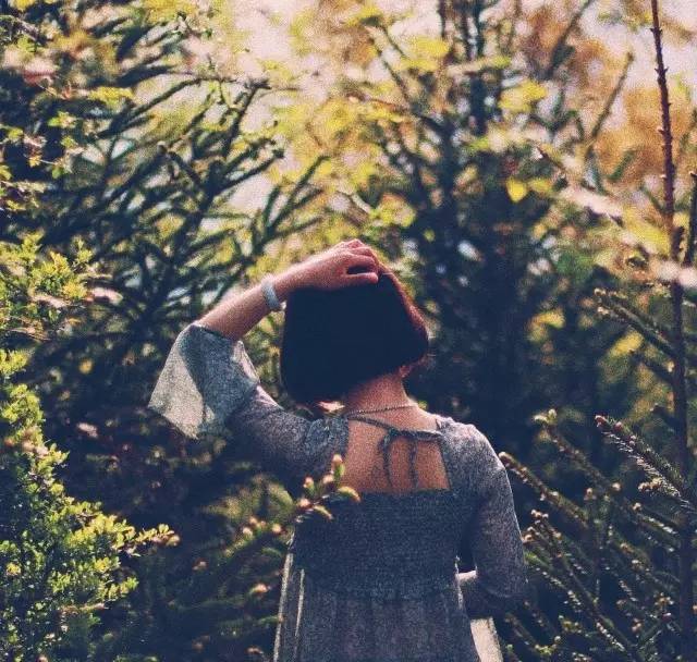 若丁山七號(hào)營(yíng)地，無(wú)數(shù)人向往的“星空露營(yíng)地”