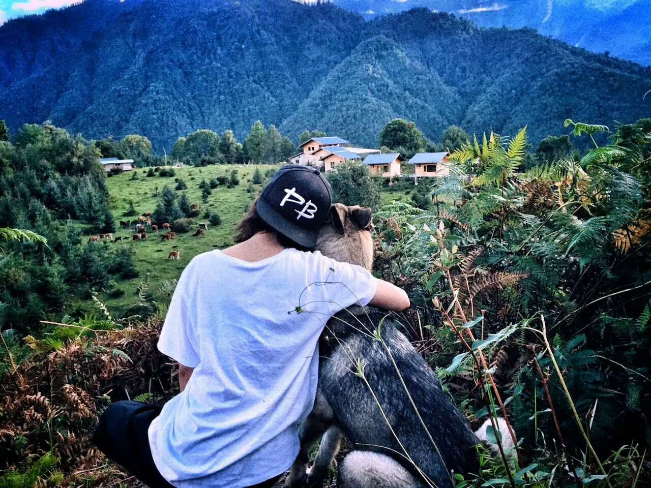 若丁山七號營地，無數(shù)人向往的“星空露營地”