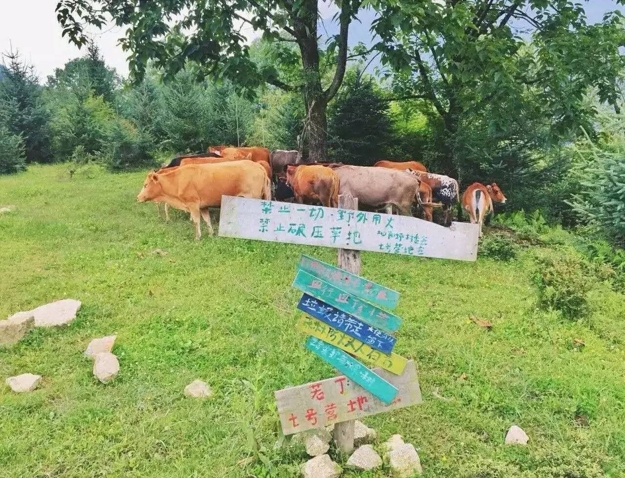 若丁山七號(hào)營(yíng)地，無(wú)數(shù)人向往的“星空露營(yíng)地”