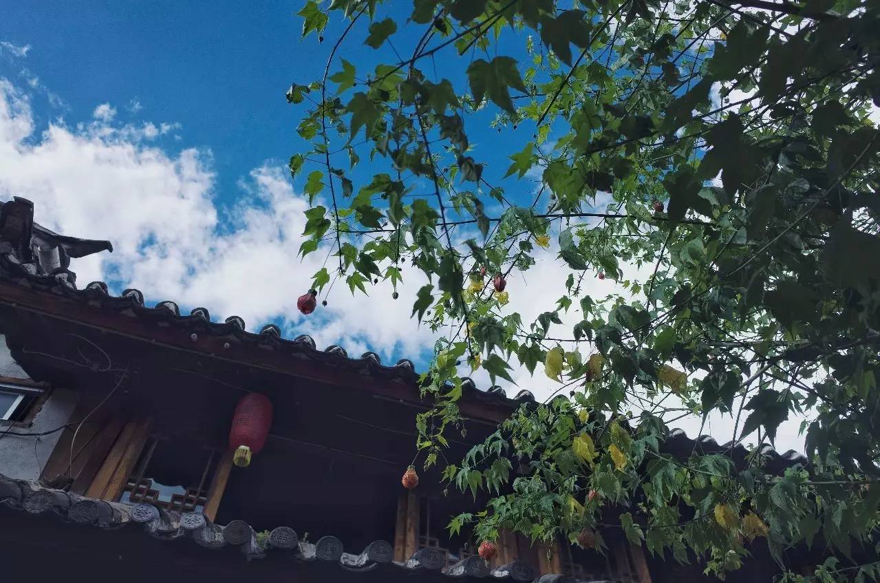 文殊·林舍，在麗江古城過著獨一無二的小日子