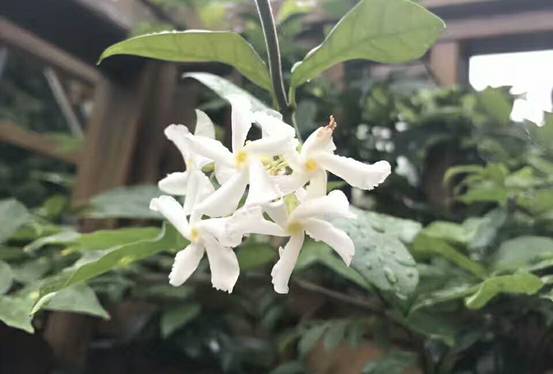 壹城一家，一座城一盞燈一個家在守候你