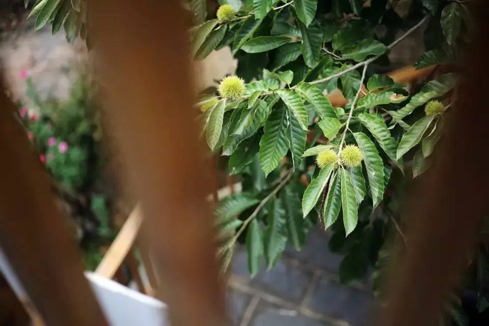 壹城一家，一座城一盞燈一個(gè)家在守候你