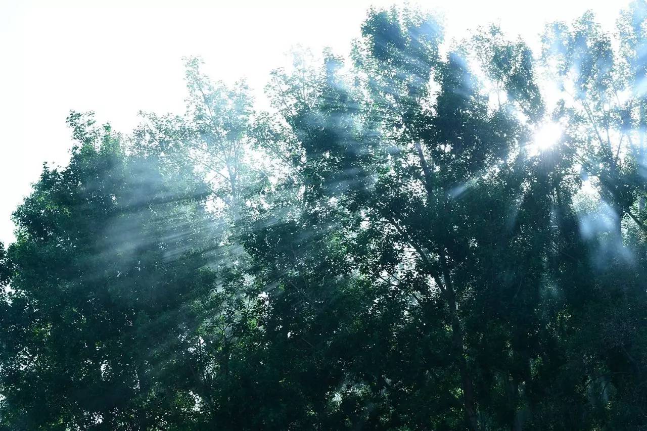 松贊拉薩曲吉林卡，用松贊的方式重走拉薩