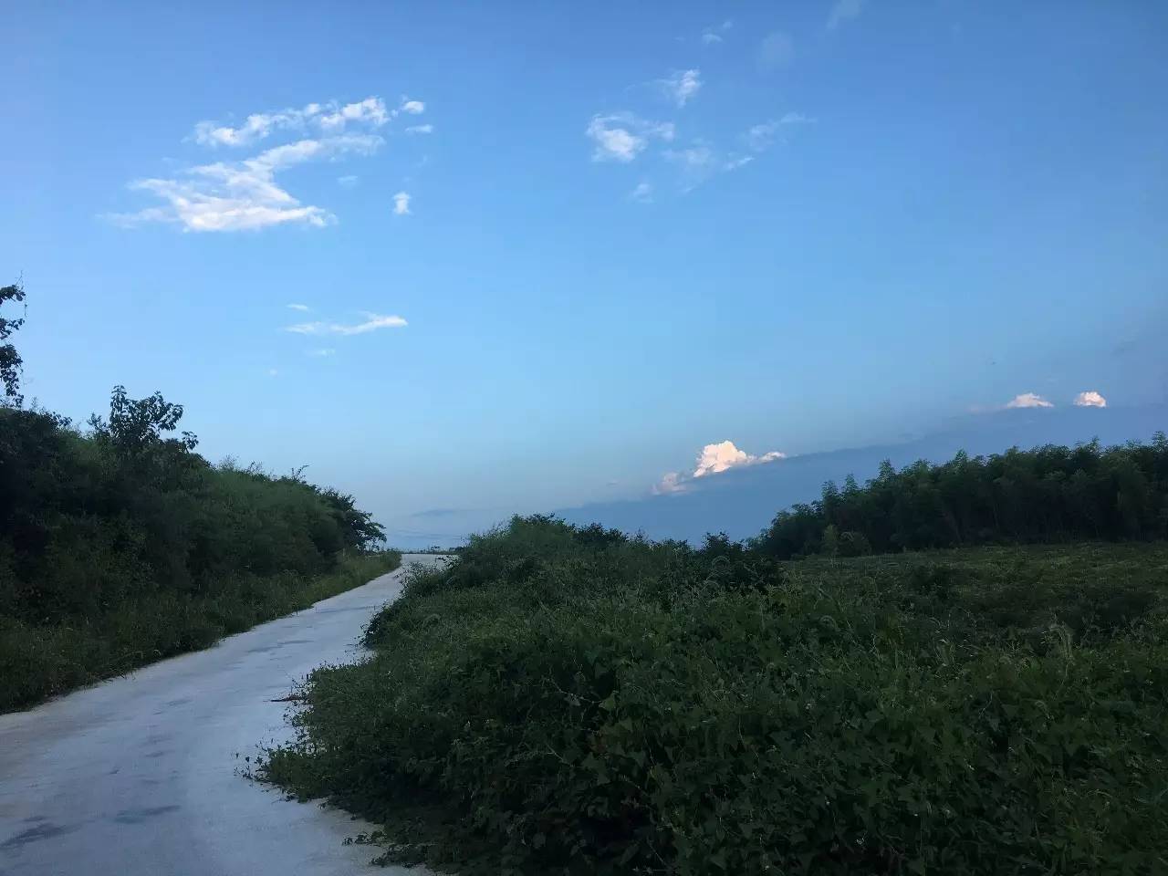 杭州山舍民宿，喝一壺茶聞桂花十里飄香