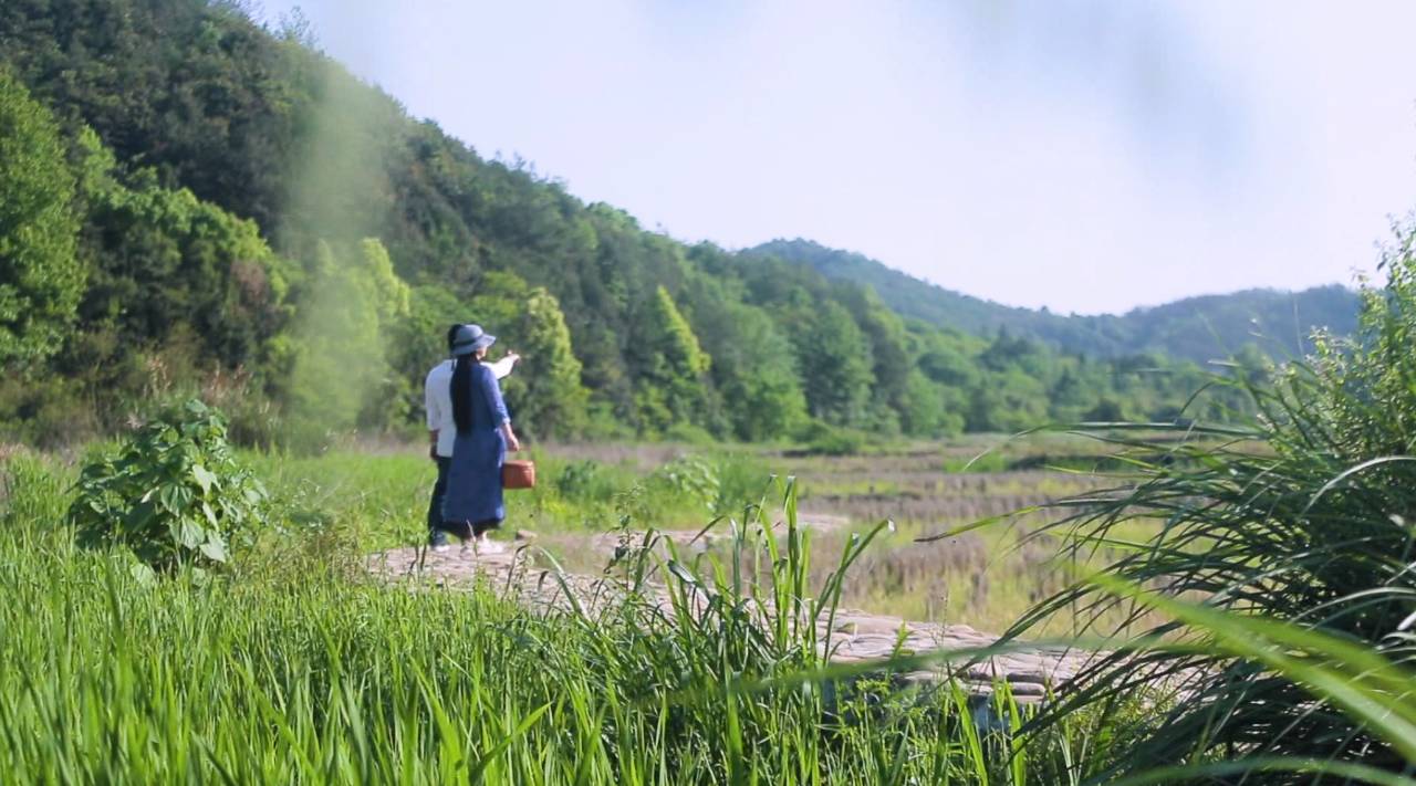 新安江畔谷掌民宿，莊園里享受青山環(huán)繞的美景