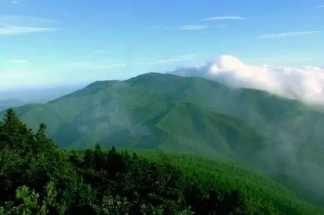 客堂間莫干山民宿，隱居深山聆聽自然