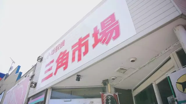 日本黎里古鎮(zhèn)水岸寒舍民宿，一起住進這座海邊