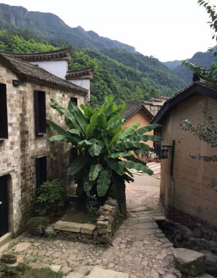 不舍·野馬嶺中國村民宿，樂在其中不忘初心