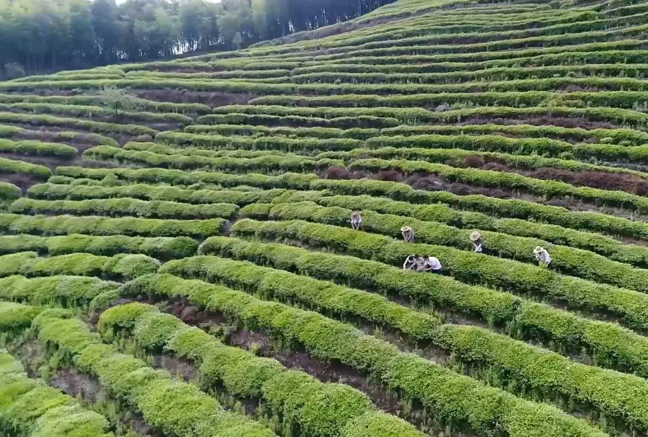 上虞陳溪鄉(xiāng)雪花谷民宿，在山谷里與自然相伴