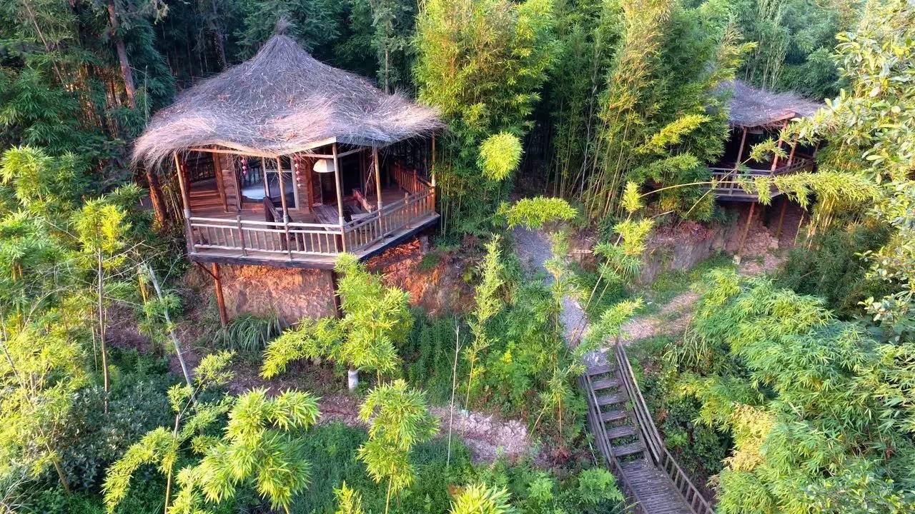 大來(lái)山樹屋民宿，喚醒古老村莊留住青山綠水